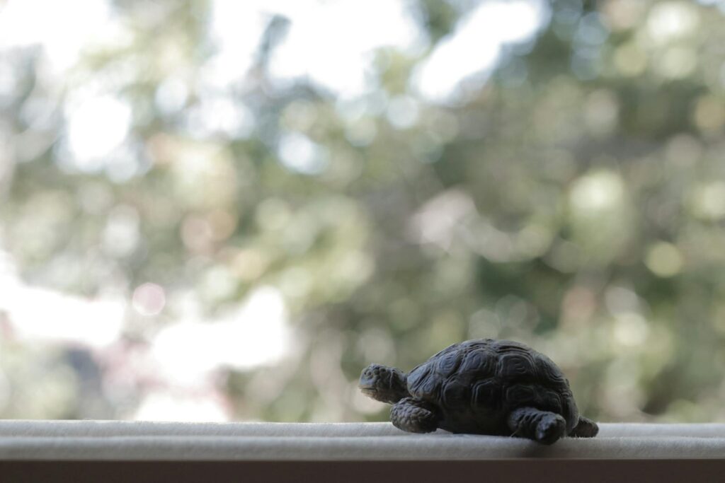 A small tortoise figurine is captured in sharp focus against a blurred, outdoor backdrop.