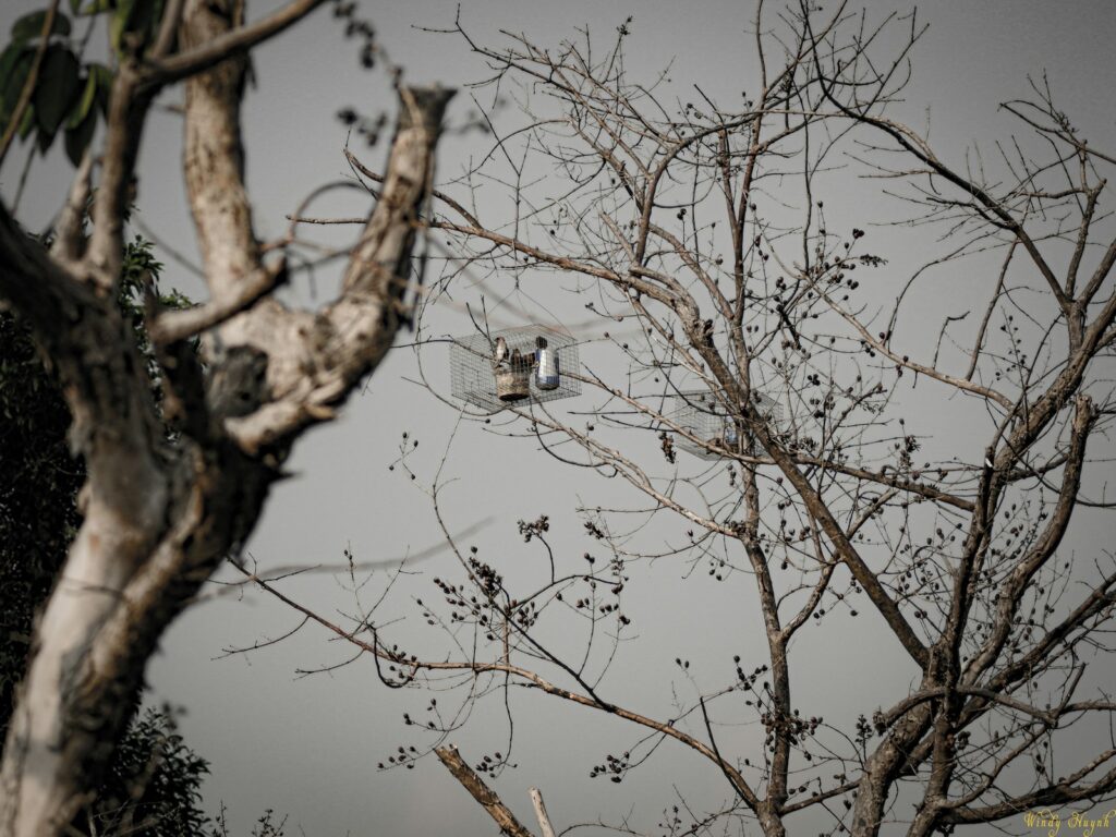 brown leafless tree during daytime