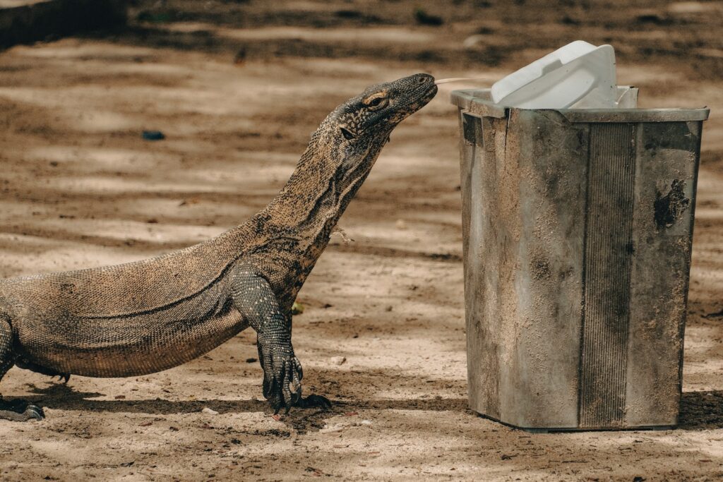 a large lizard standing next to a trash can