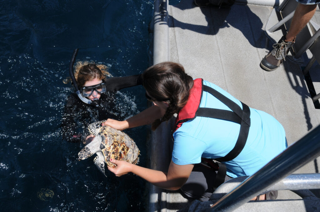 National Marine Sanctuaries