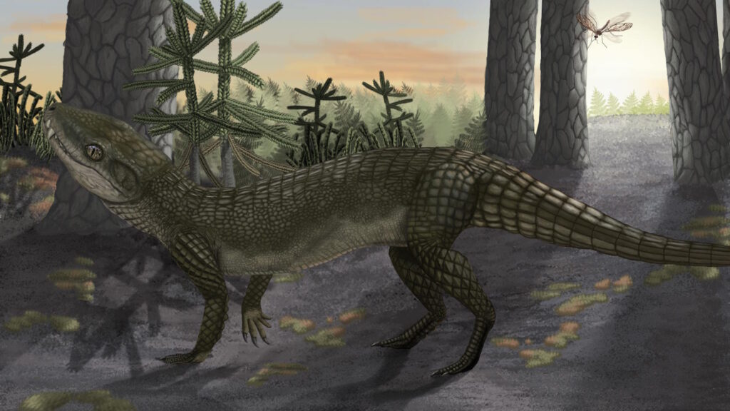 Illustration of Pakasuchus kapilimai, a small, quadrupedal reptile with a short snout and mammal-like teeth, depicted in a terrestrial environment.
