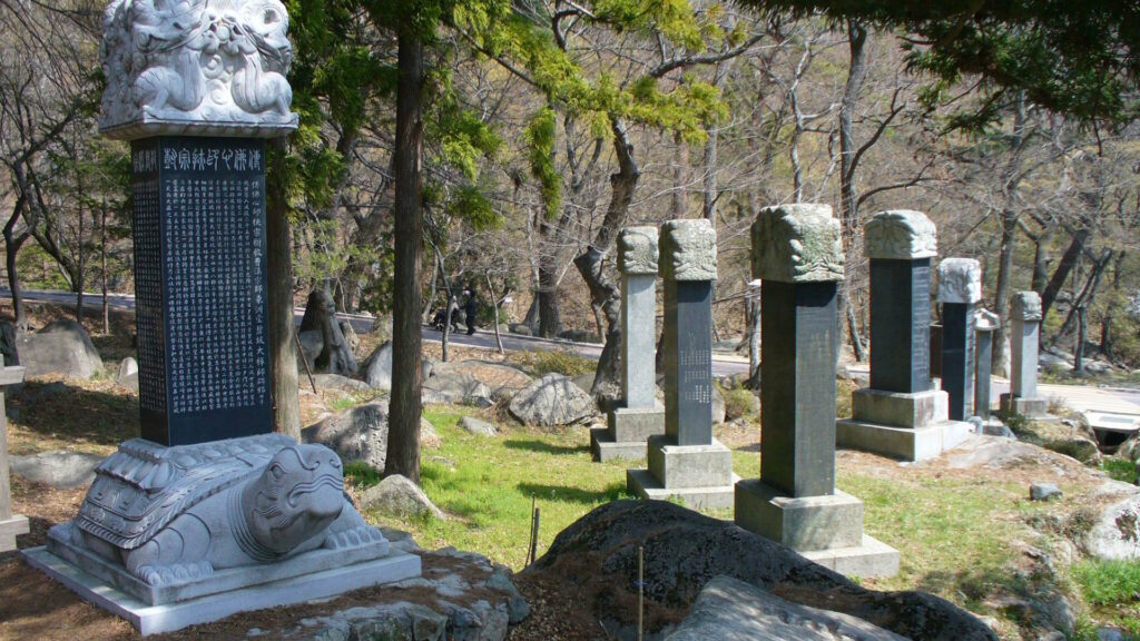 Stone stele mounted on the back of a carved tortoise with dragon-headed top, surrounded by similar monuments in a forested temple setting.