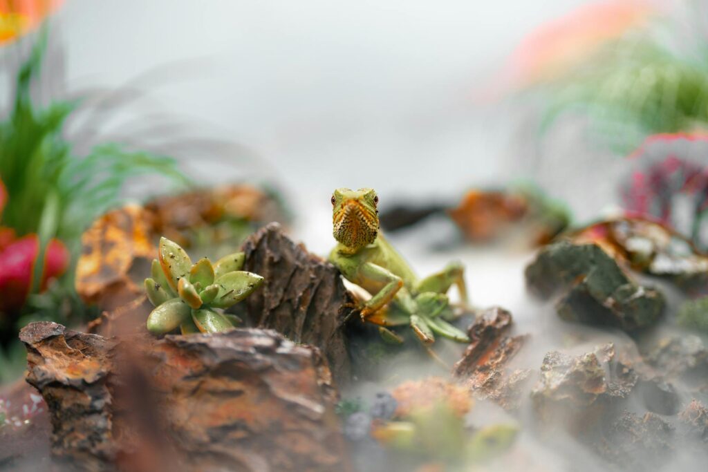 A little lizard lounges on a rock, its scales glistening in the sunlight, surrounded by a tranquil natural landscape.