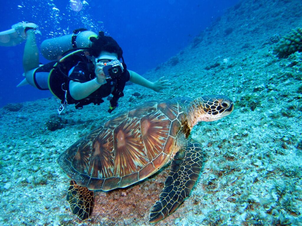 A diver in a scuba mask interacts with a sea turtle underwater, showcasing marine life and exploration.