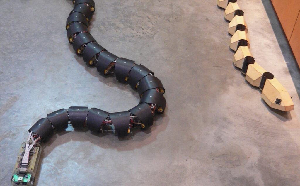 Robot snake lying on the floor, demonstrating coordinated motion inspired by snake strike biomechanics.