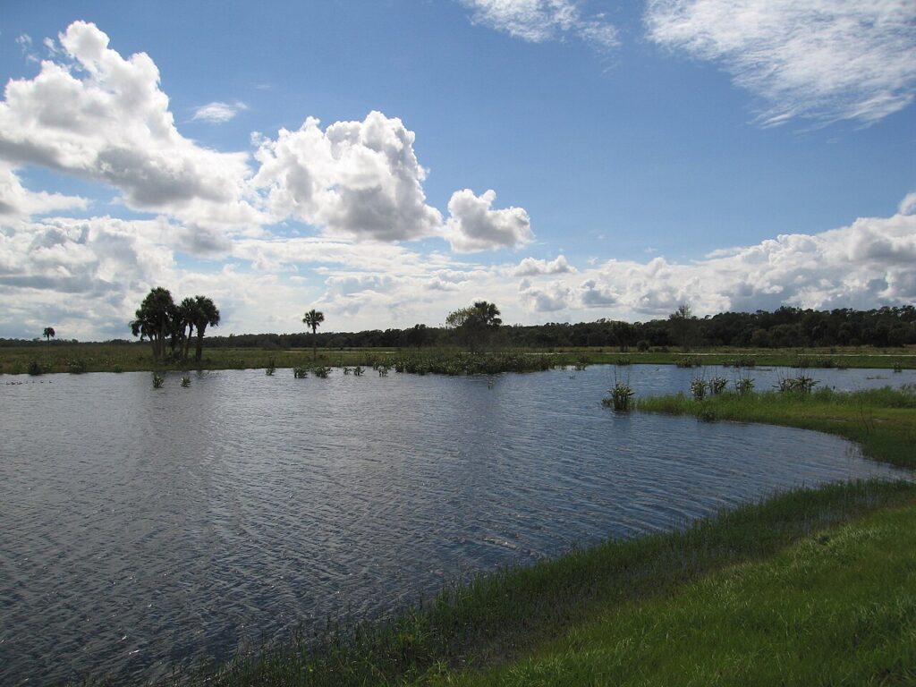 Taylor Creek
