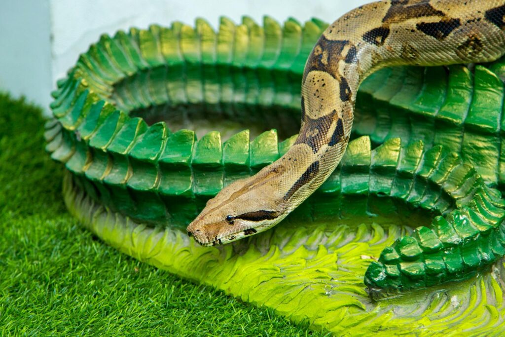 A snake rests on a vibrant green plant, blending with its lush surroundings in a natural setting.