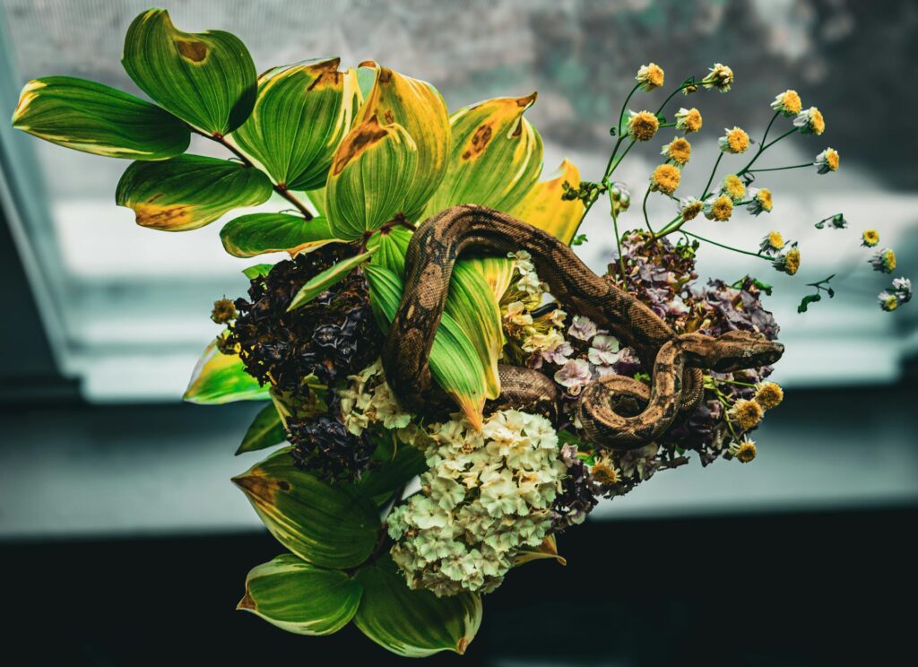 A vibrant bouquet of flowers gracefully hangs from a window, adding color and charm to the scene.
