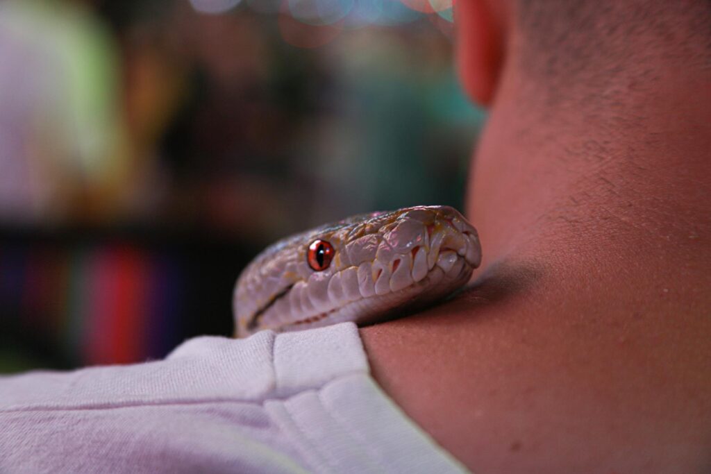 A man with a snake draped over his shoulder, showcasing a unique bond between human and reptile.