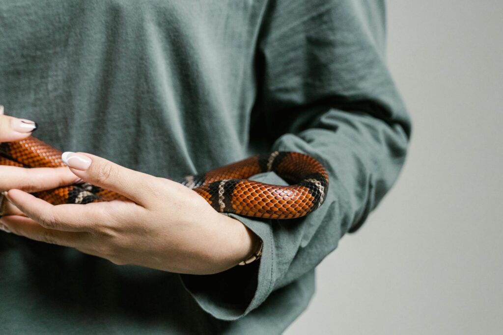 A person gently cradles a snake in their hands, showcasing a moment of connection with the creature.