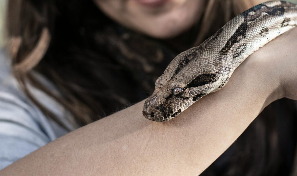 A woman confidently holds a snake on her arm, showcasing her connection with the exotic creature.