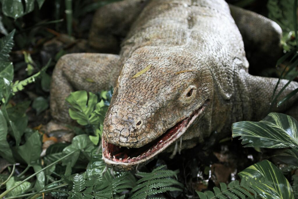A vibrant lizard camouflaged among lush green foliage in a dense jungle setting.