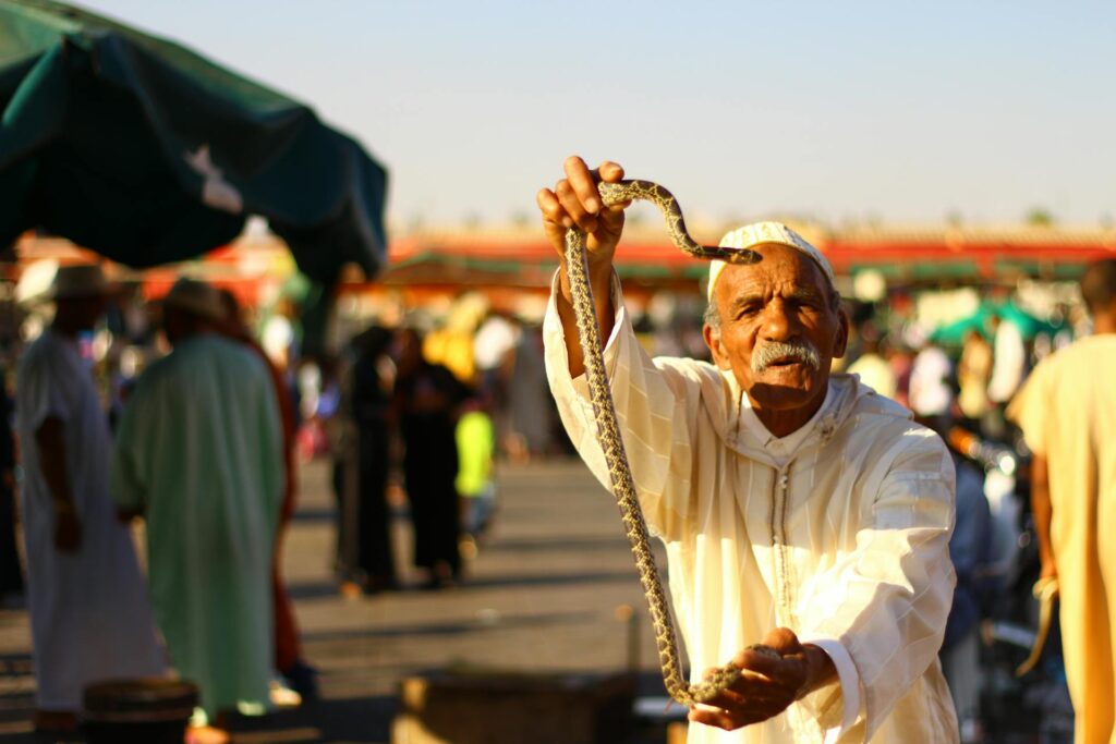A man confidently holds a large snake, showcasing his connection with the exotic creature.