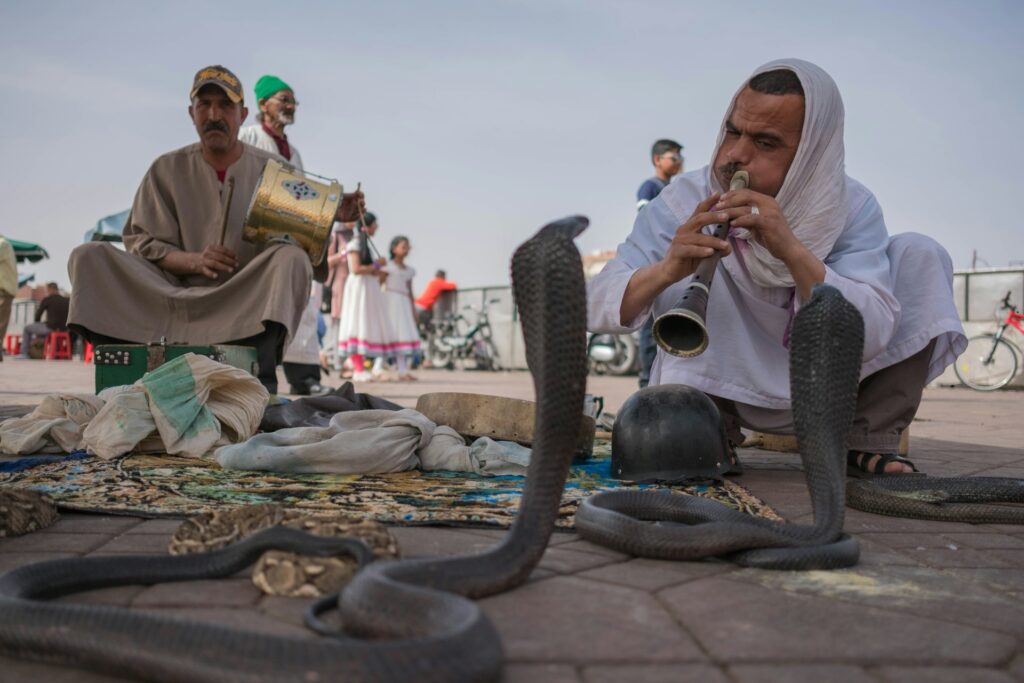 A man skillfully plays a snake-shaped drum, showcasing his musical talent and creativity in a vibrant setting.